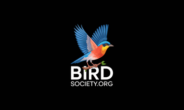 BirdSociety.org - Creative brandable domain for sale